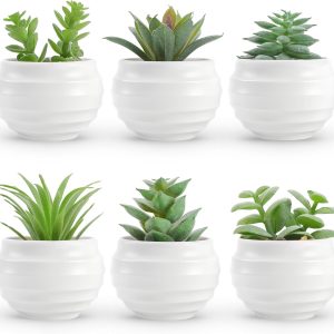 6 Pack Fake Succulent Plants, Artificial Mini Succulents For Bedroom, Bathroom, Home, Office, Desk, Shelf & Indoor Decor